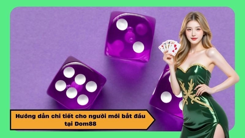Hướng dẫn chi tiết cho người mới bắt đầu tại Dom88