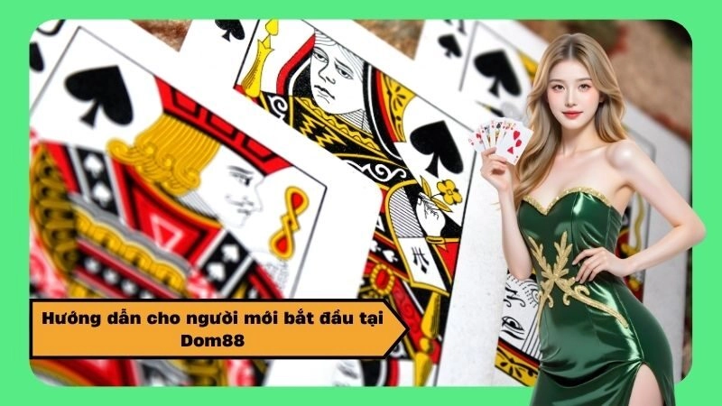Hướng dẫn cho người mới bắt đầu tại Dom88