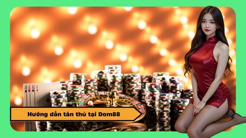 Hướng dẫn tân thủ tại Dom88
