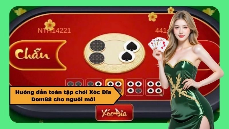 Hướng dẫn toàn tập chơi Xóc Đĩa Dom88 cho người mới