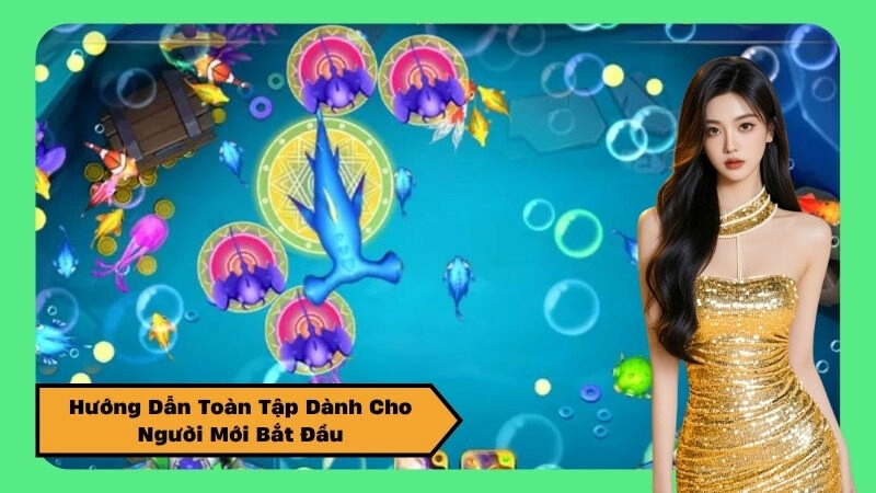 Hướng Dẫn Toàn Tập Dành Cho Người Mới Bắt Đầu