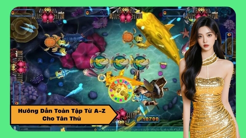 Hướng Dẫn Toàn Tập Từ A-Z Cho Tân Thủ