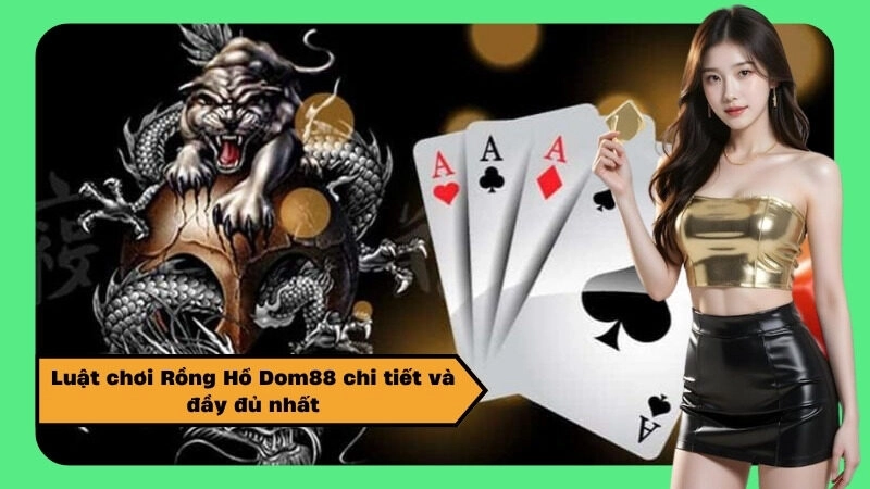 Luật chơi Rồng Hổ Dom88 chi tiết và đầy đủ nhất