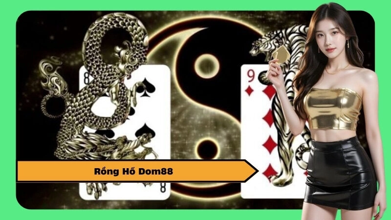 Rồng Hổ Dom88