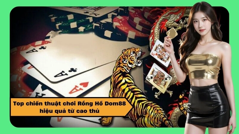 Top chiến thuật chơi Rồng Hổ Dom88 hiệu quả từ cao thủ